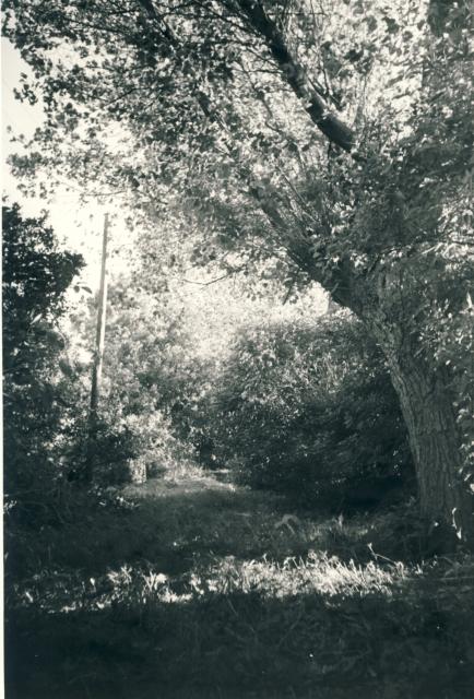 Fæstien, Ebbeløkke - 1956 (B4065)