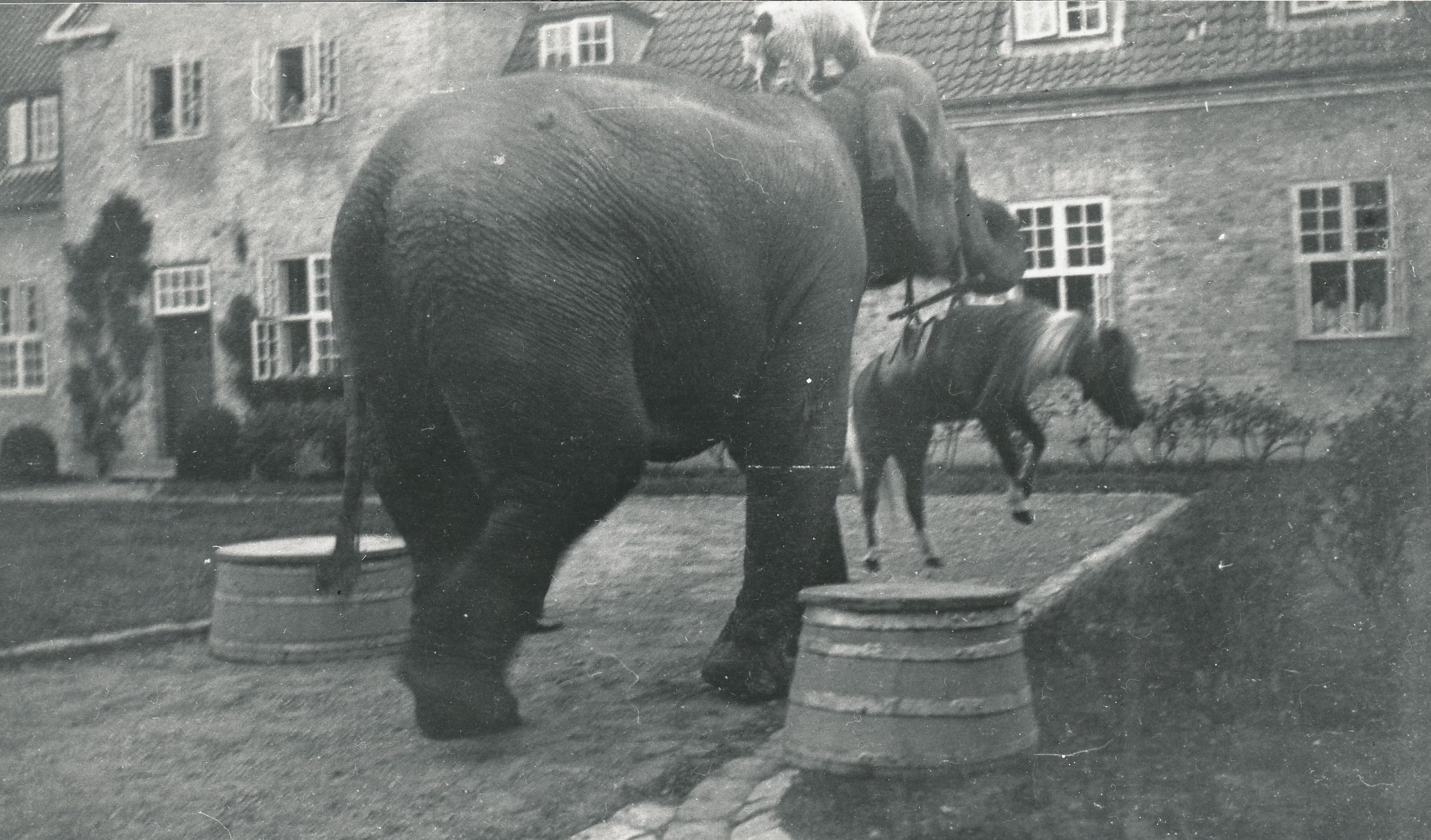 Cirkus på ANS ca. 1955 (B91915)