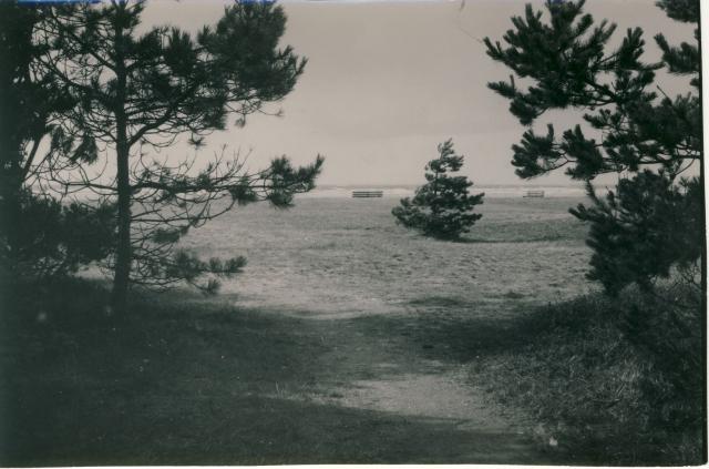 Vig Strandkoloni - ca 1930 (B4330)
