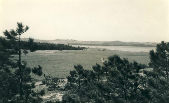Vig Strandkoloni - ca. 1940'erne (B4332)