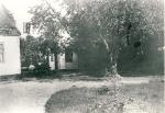 Vig Præstegårds have - ca. 1920 (B4401)