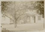 Vig Præstegårdshave - ca. 1920 (B4402)