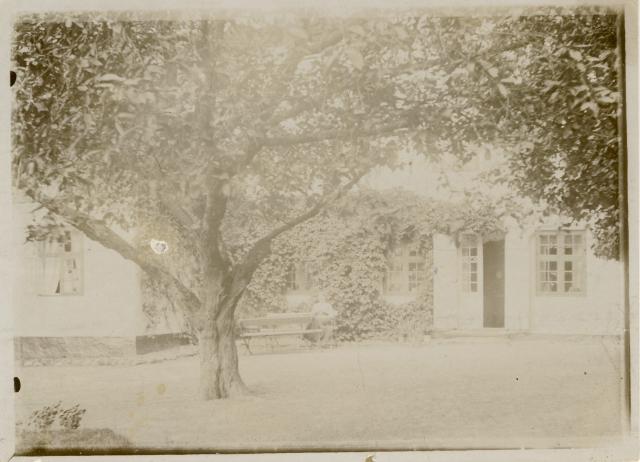 Vig Præstegårdshave - ca. 1920 (B4402)