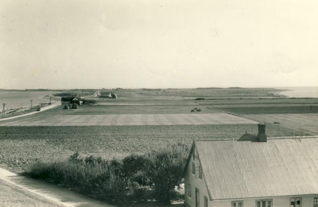 Gniben - 1950 (B4502)