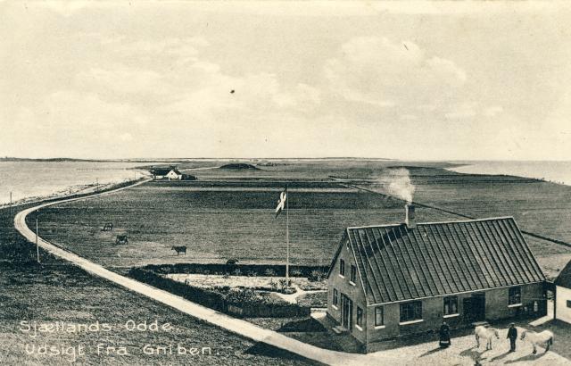 Udsigt fra Gniben - ca. 1910 (B4505)