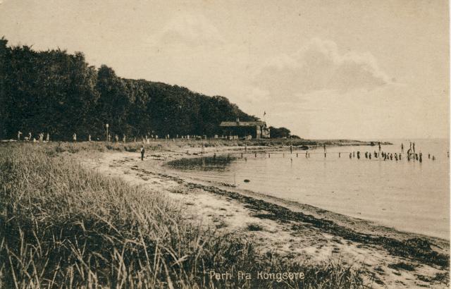 Parti fra Kongsøre - ca. 1920 (B4551)