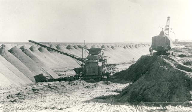 Stenlejerne, Sjællands Odde - ca. 1950'erne (B4558)