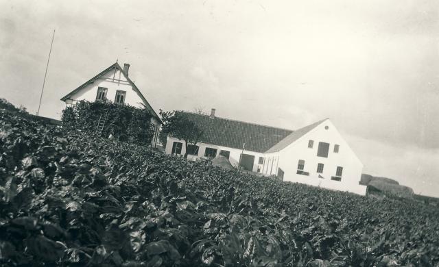 "Fjordglimt", Hølkerup - ca. 1926 (B4571)