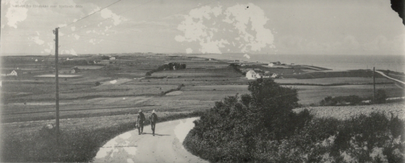 Udsigt over Sjællands Odde fra Ebbeløkke Bakker - 1908 (B278)