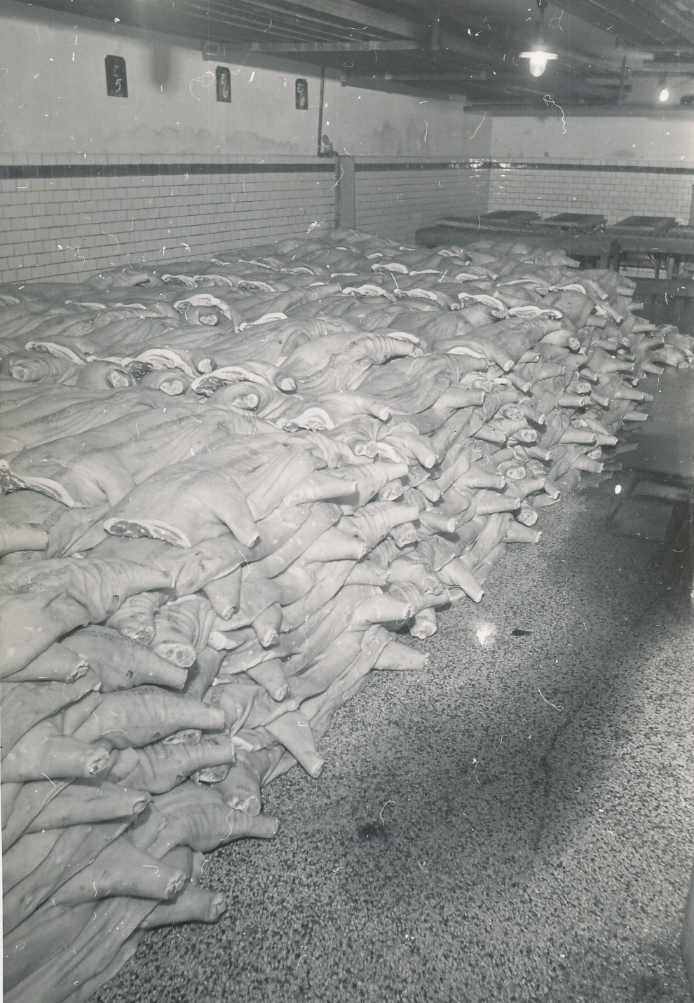 Odsherreds Andels-Svineslagteri ca. 1957 (B92370)