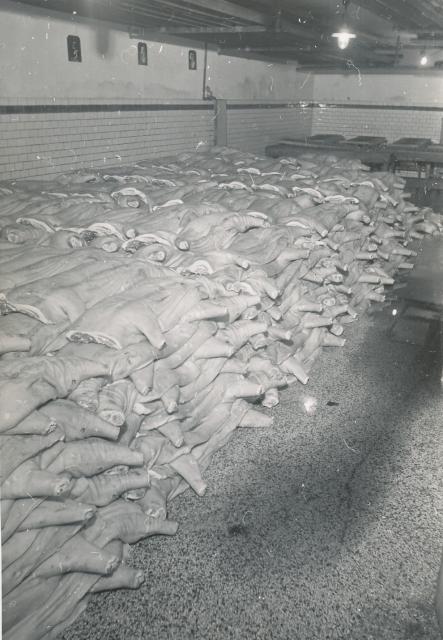 Odsherreds Andels-Svineslagteri ca. 1957 (B92370)