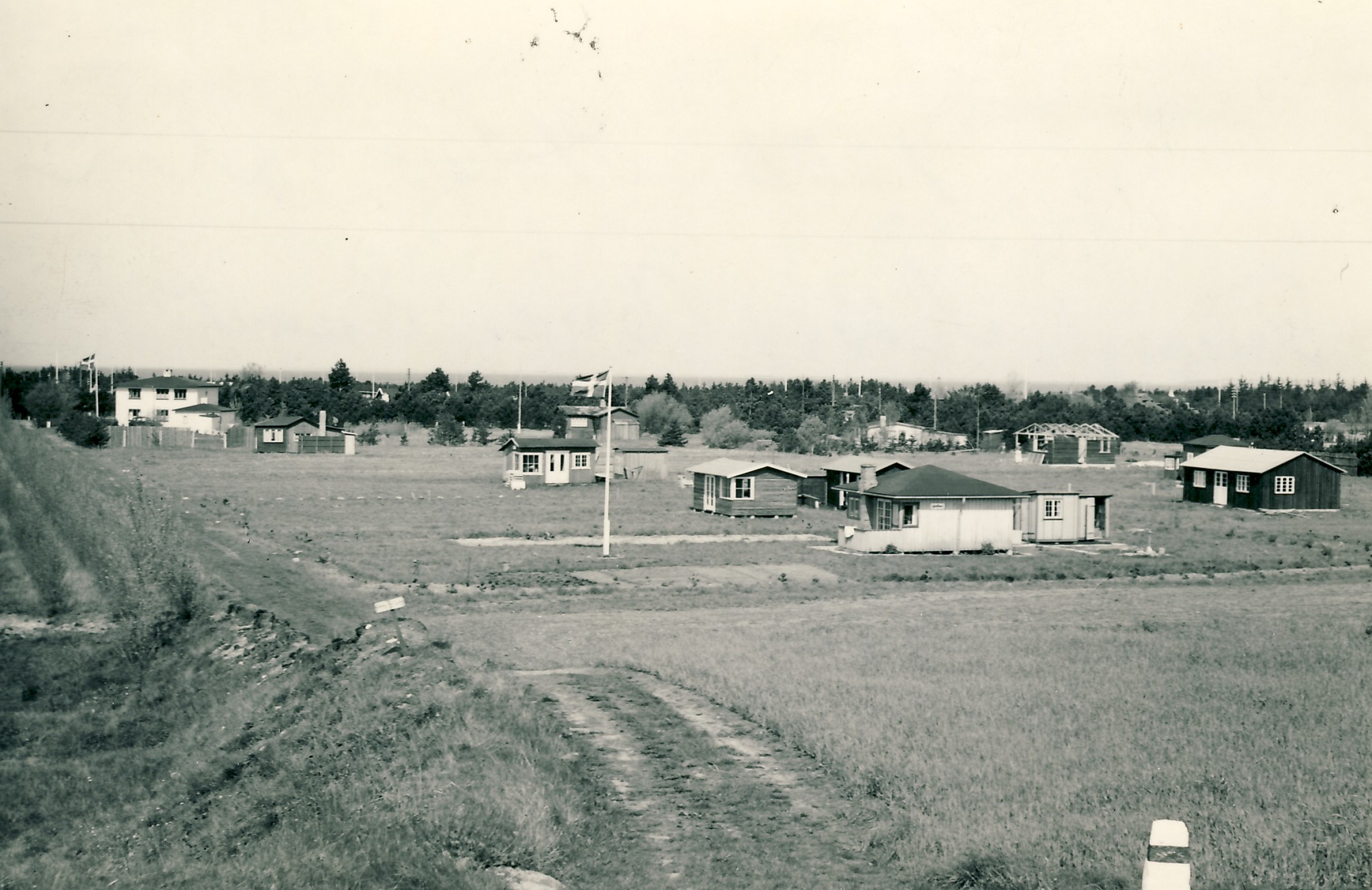 Nyudstykning i Jyderup lyng - 1955 (B4909)