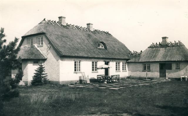 "Myretuen", Jyderup Lyng - ca. 1955 (B4910)