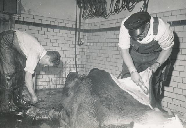 Odsherreds Andels-Svineslagteri ca. 1957 (B92380)