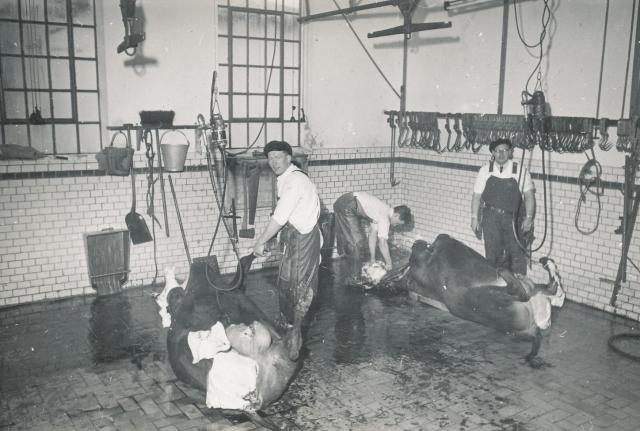 Odsherreds Andels-Svineslagteri ca. 1957 (B92381)