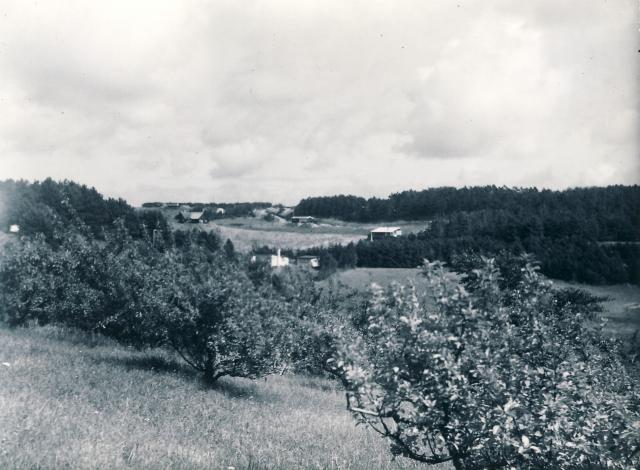 Klint Bakker - ca. 1945 (B4964)