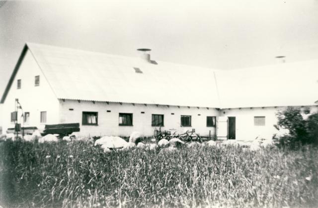 Stenvangs stalde - 1963 (B5121)