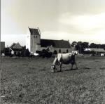 Hørve Kirke