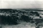 Korevlen - ca. 1940 (B5169)