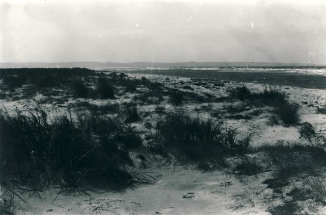 Korevlen - ca. 1940 (B5169)