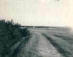 Diget ved Ellinge Strand - ca. 1960 (B5182)