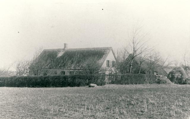 Tvillingegården i Kelstrup - ca. 1900 (B5188)