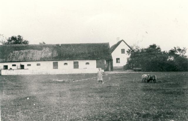 Tvillingegården i Kelstrup - ca. 1921 (B5189)