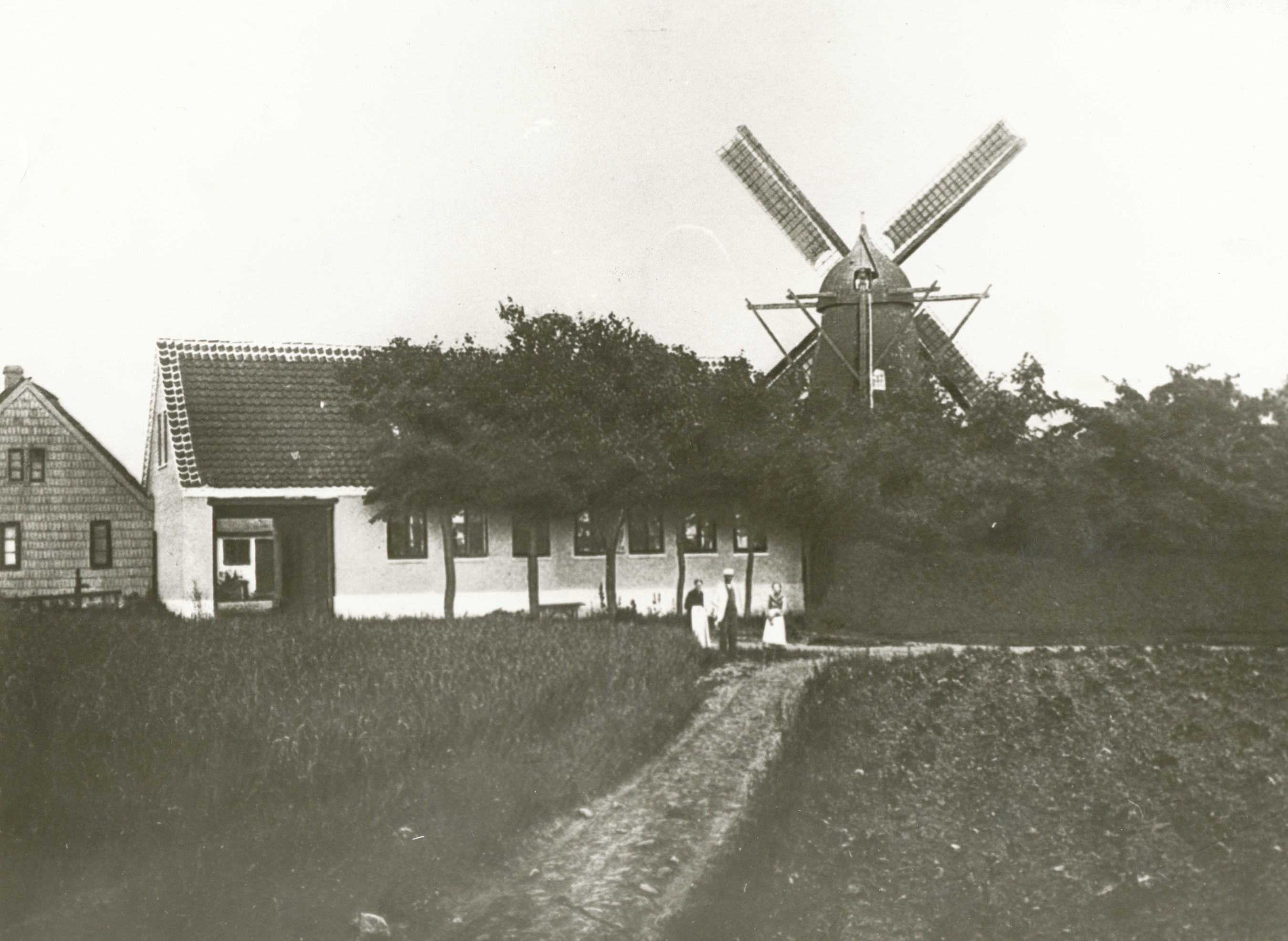 Skippinge Mølle - ca. 1900 (B5200)