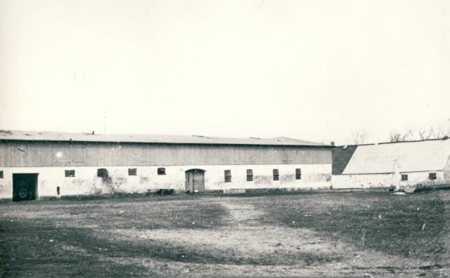 Ellingegården - marts 1929 (B5287)