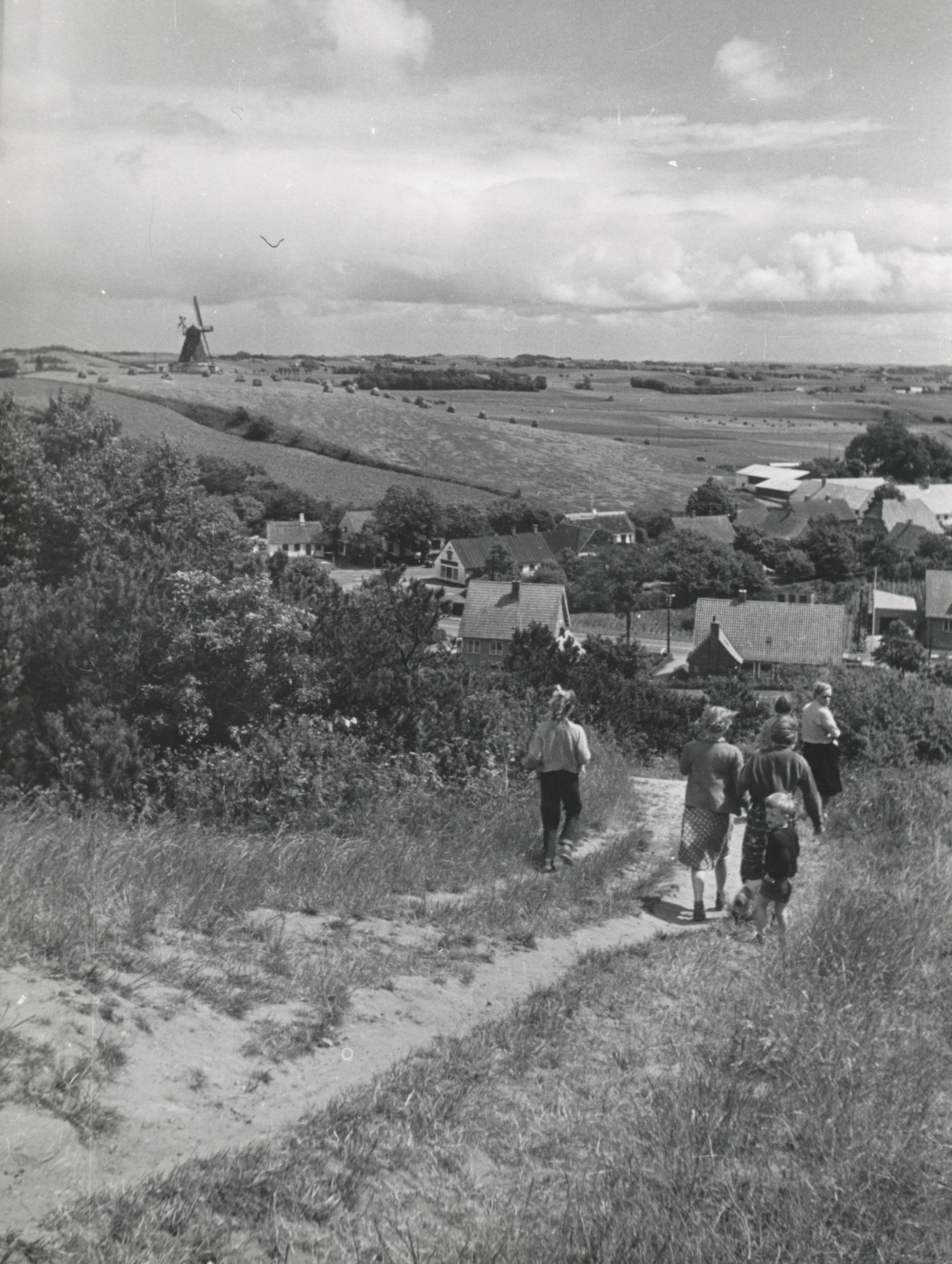 Høve. Udsigt fra Esterhøj - ca. 1965 (B5340)