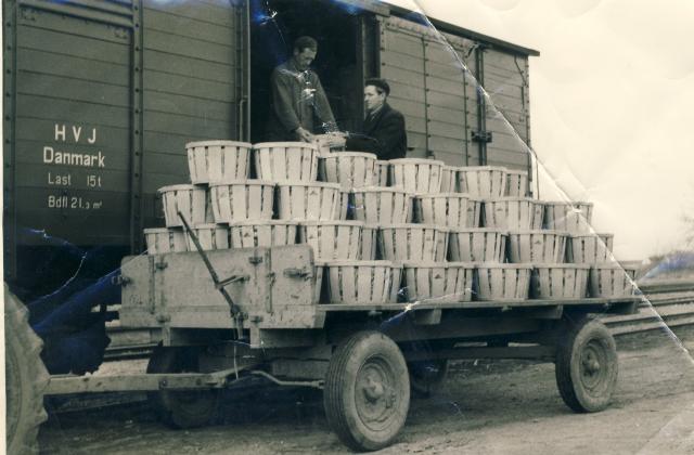 Vig Planteskole - ca. 1943 (B5420)