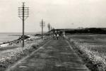 Overby Lyng - 1955 (B364)