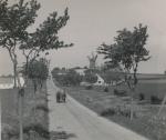 Hønsinge Mølle - ca. 1935 (B5550)