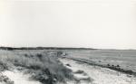 Stranden ved Nyrup - 1960 (B5644)