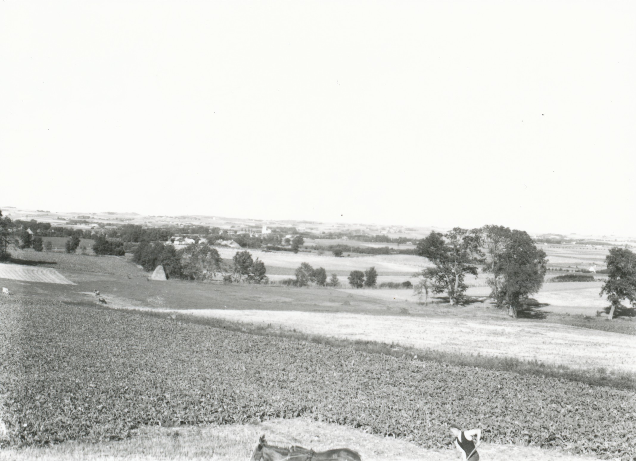Udsigt over Fårevejle og Stubberup - ca. 1940 (B5635)