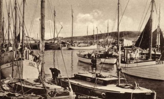 Både i havnen - 1920 (B392)