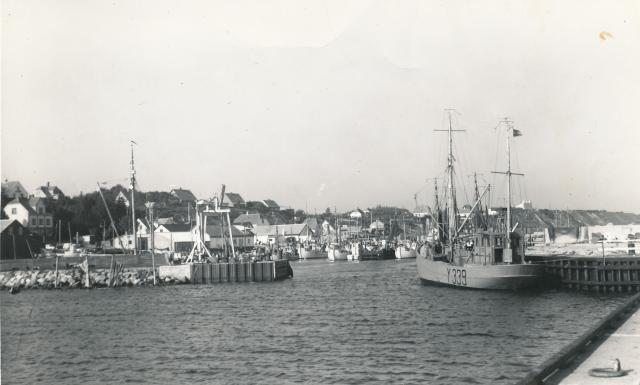 Odden havn - først i 1960'erne (B5770)