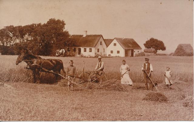 Nordgården ved Lumsås - ca. 1910 (B6024)