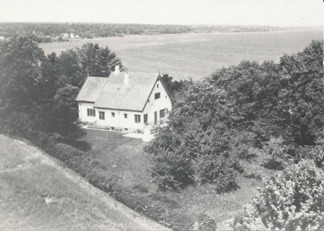 Udsigtsvangen ved Glostrup Overdrev - ca. 1950 (B6115)