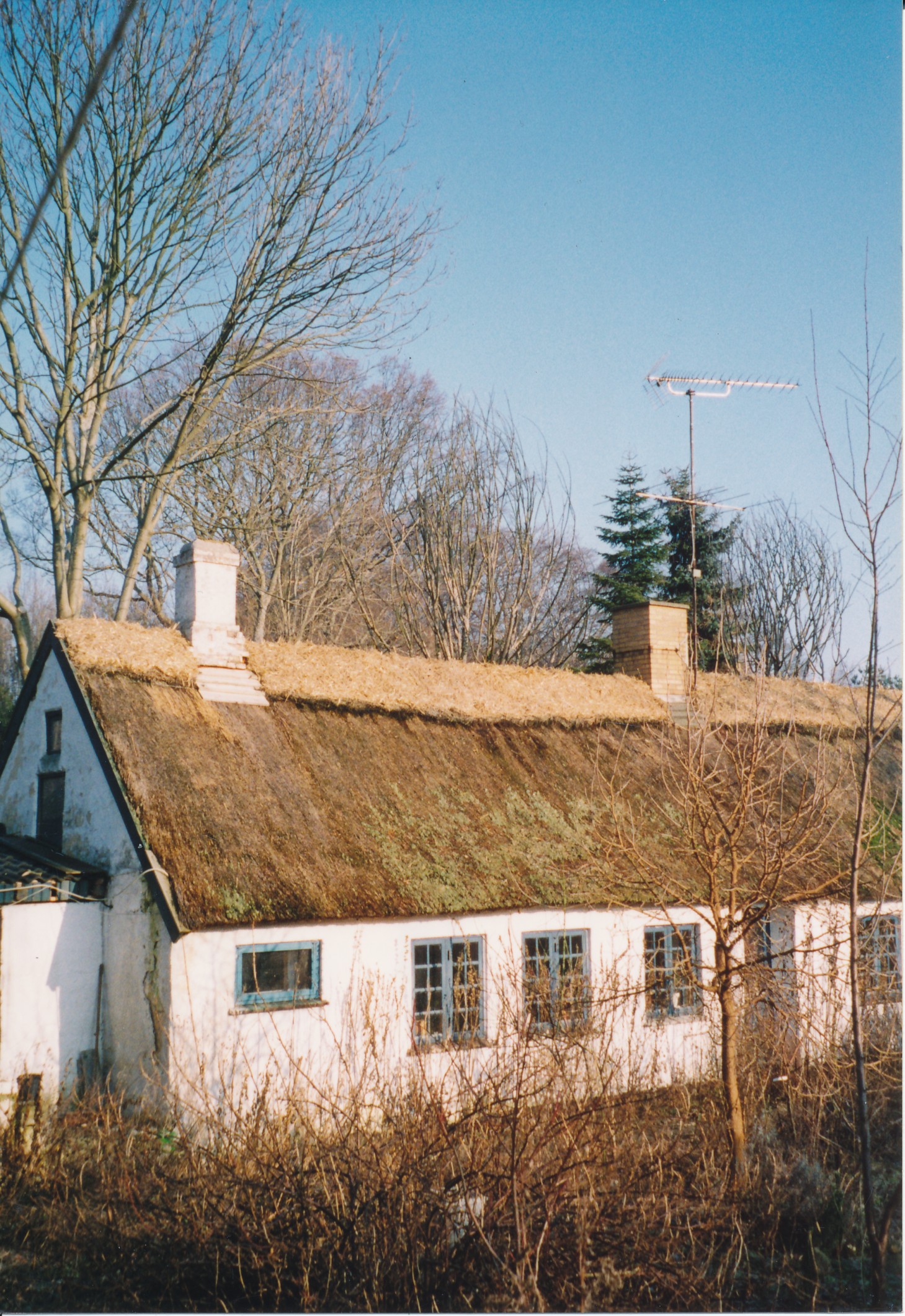 Klintvej nr. 142 - ca. 2000 (B6165)