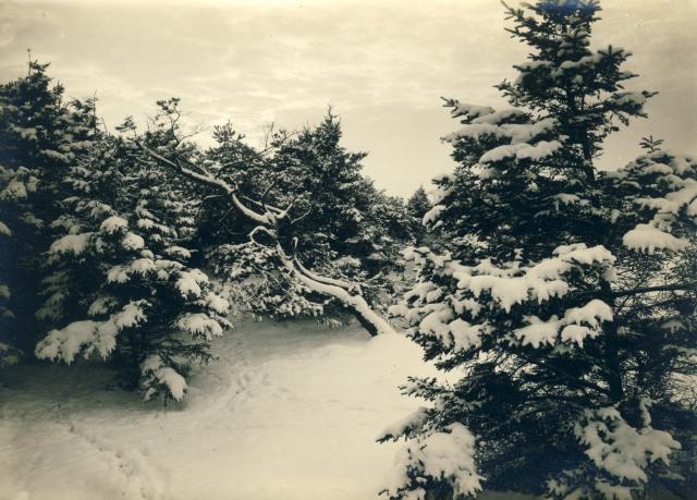 Fra Sanddobberne ved Dragsholm - ca. 1940 (B6219)