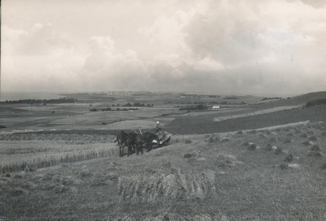 Udsigt fra Lumsås - 1950 (B6501)