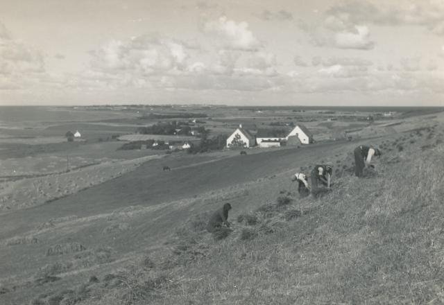 Udsigt fra Lumsås - 1940 (B6502)