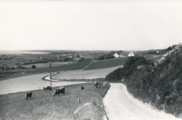 Udsigt fra Lumsås - 1955 (B6503)