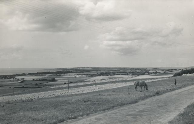 Udsigt fra Åsløkke - 1955 (B6507)