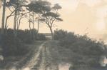 Sandskredet - ca. 1920 (B6613)