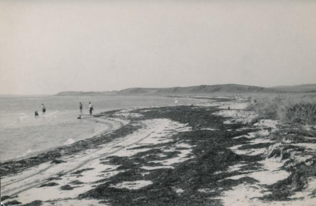 Badeliv ved Lumsås - 1955 (B6644)