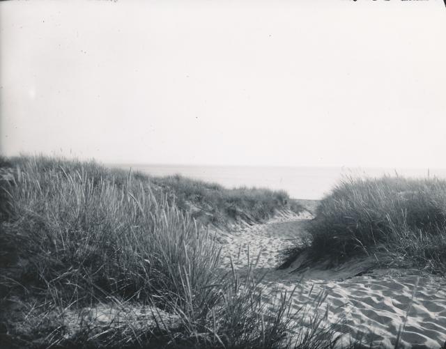 Klitter ved Gudmindrup Lyng - 1940'erne (B6672)