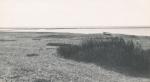 Stranden ved Korevlen - 1950'erne (B6674)