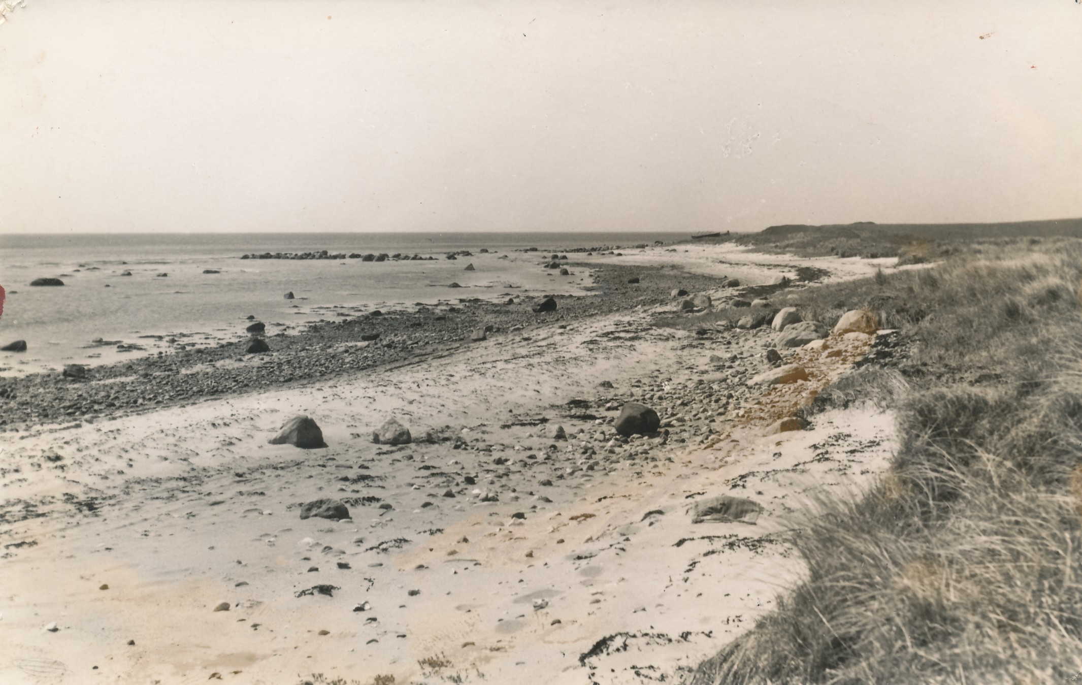 Strand ved Sejerø Bugt - 1945 (B6681)